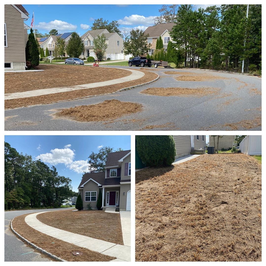 Full Front Yard Reno