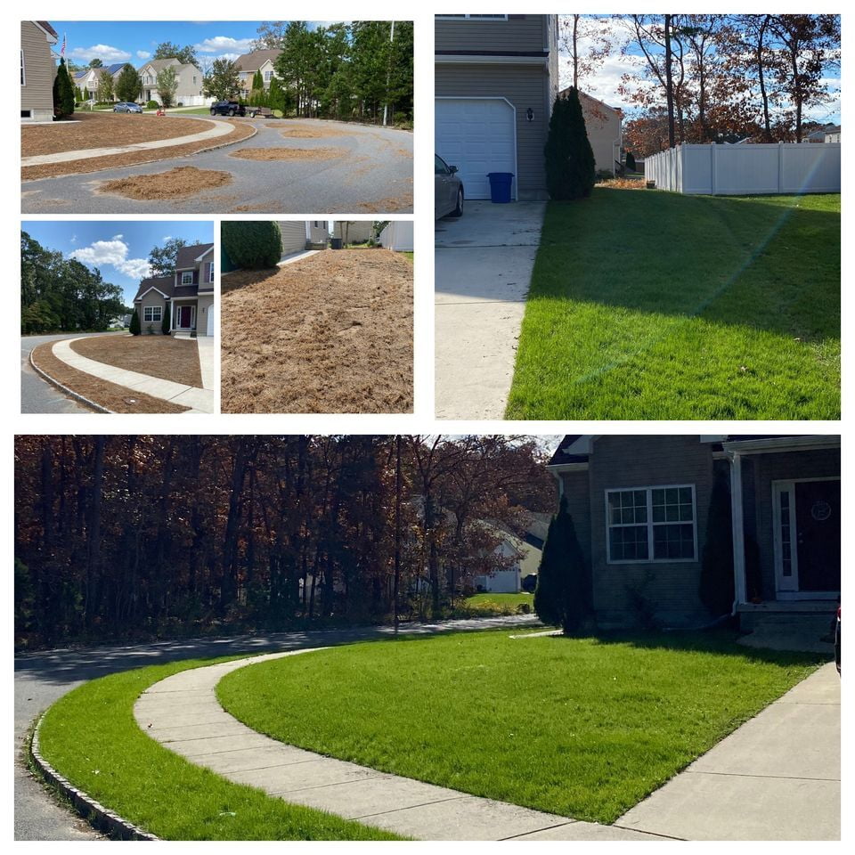 Full Front Yard Reno Update 2