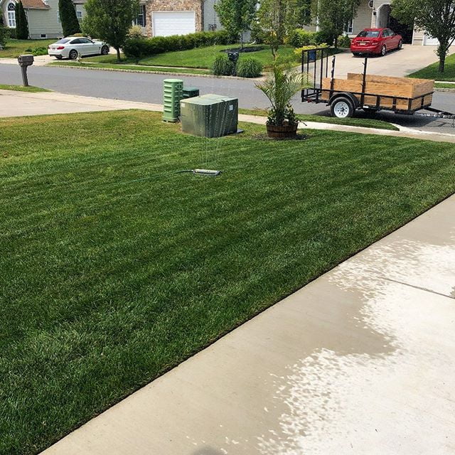 Lawn Cut
