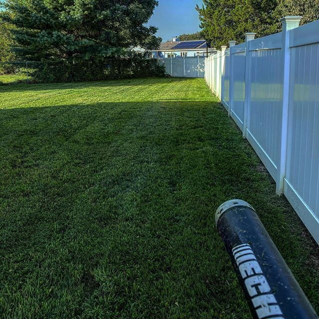 Perfect Backyard Grass