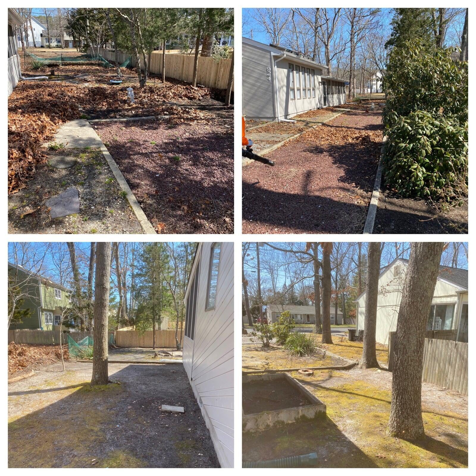 Spring Clean Up