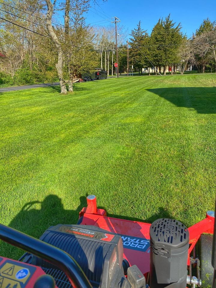 Sun shining and early morning striping
